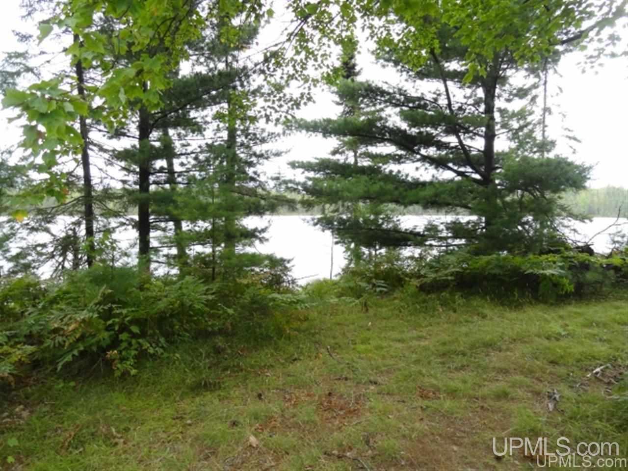 Voelker Lake Road Property Photo 9