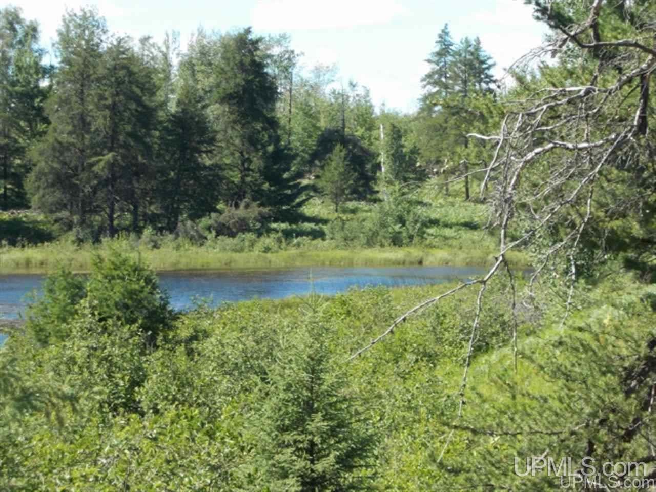Voelker Lake Road Property Photo 10