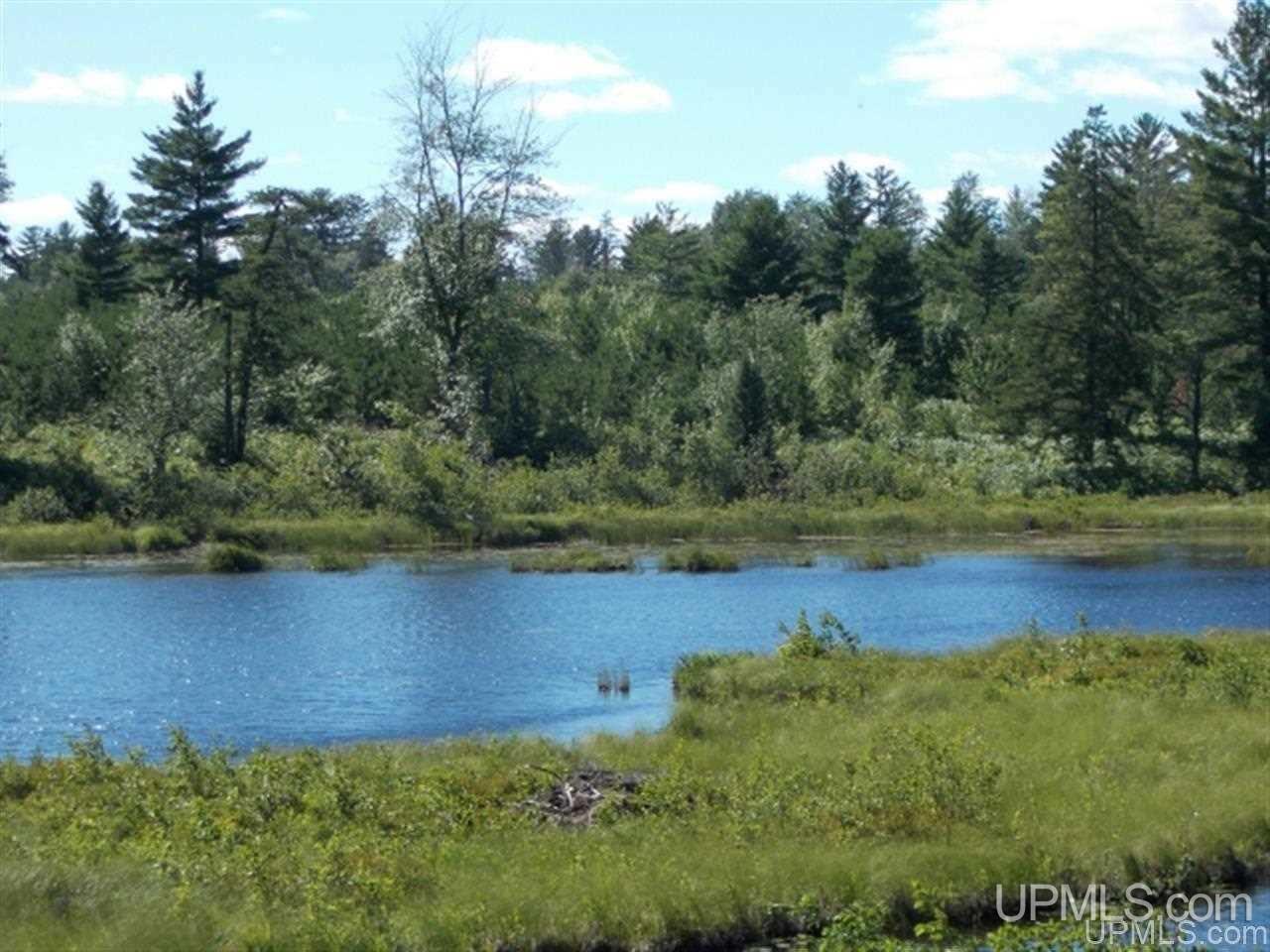 Voelker Lake Road Property Photo 12