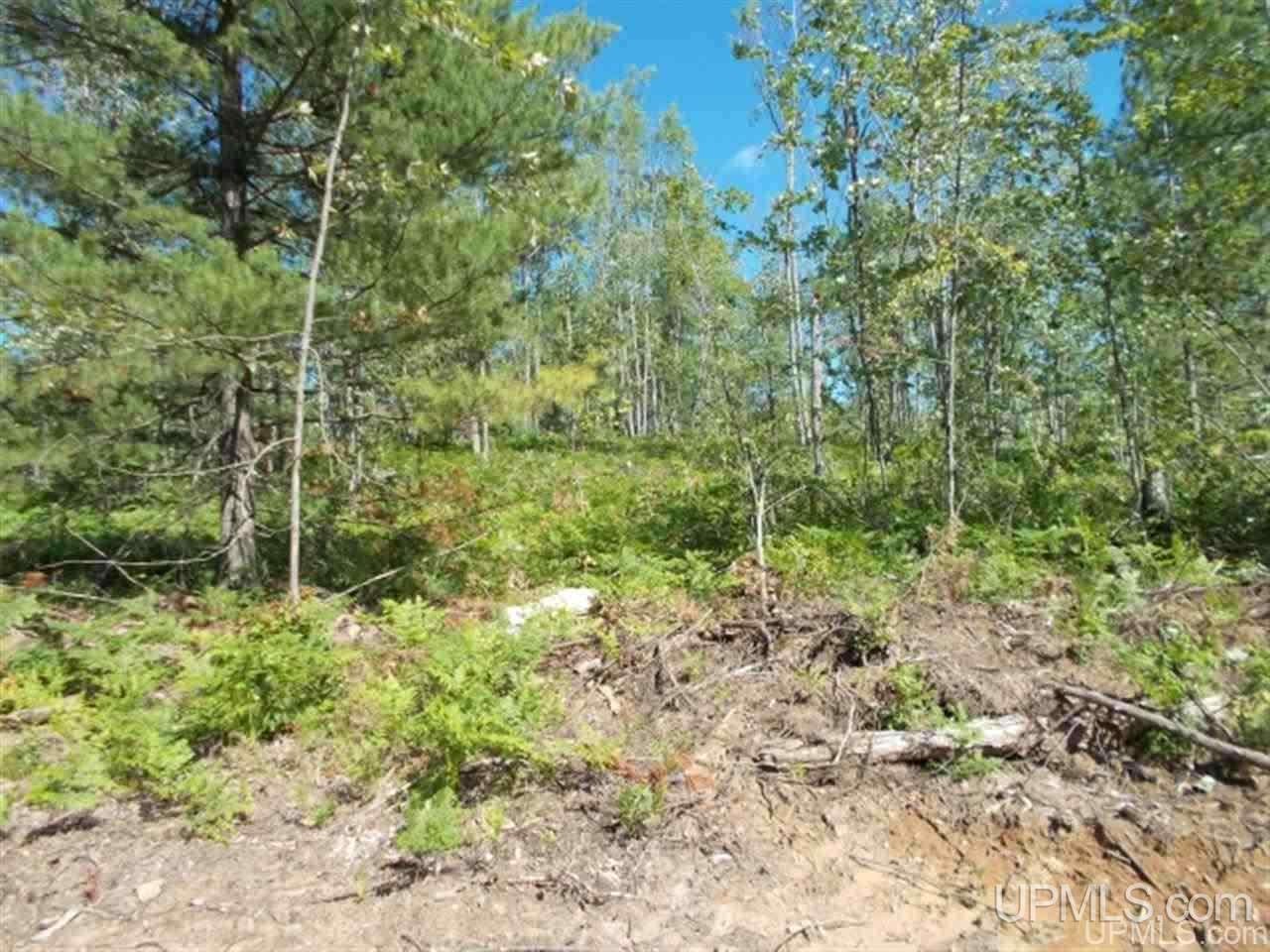 Voelker Lake Road Property Photo 13