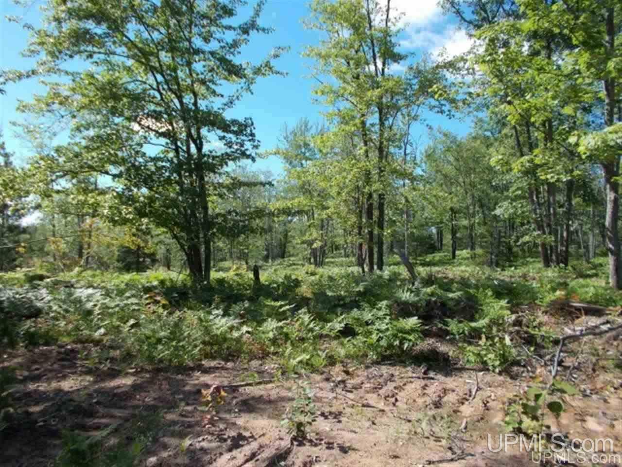 Voelker Lake Road Property Photo 14