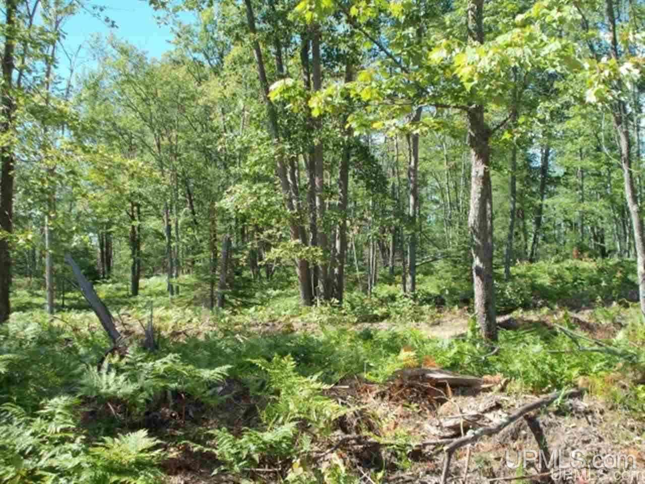 Voelker Lake Road Property Photo 15