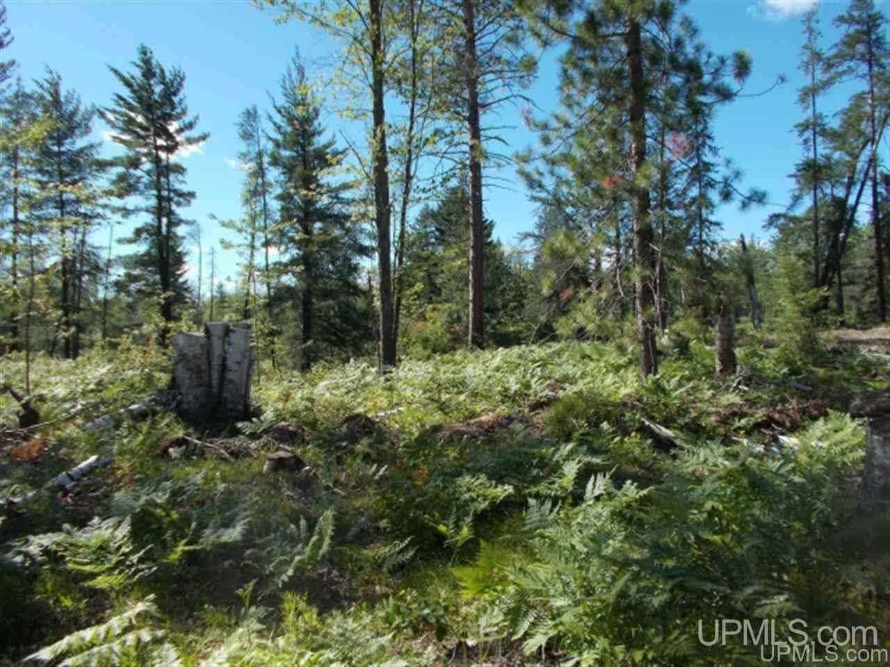 Voelker Lake Road Property Photo 16