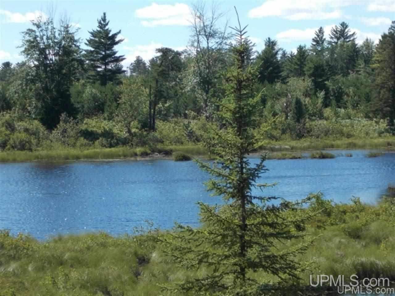 Voelker Lake Road Property Photo 17