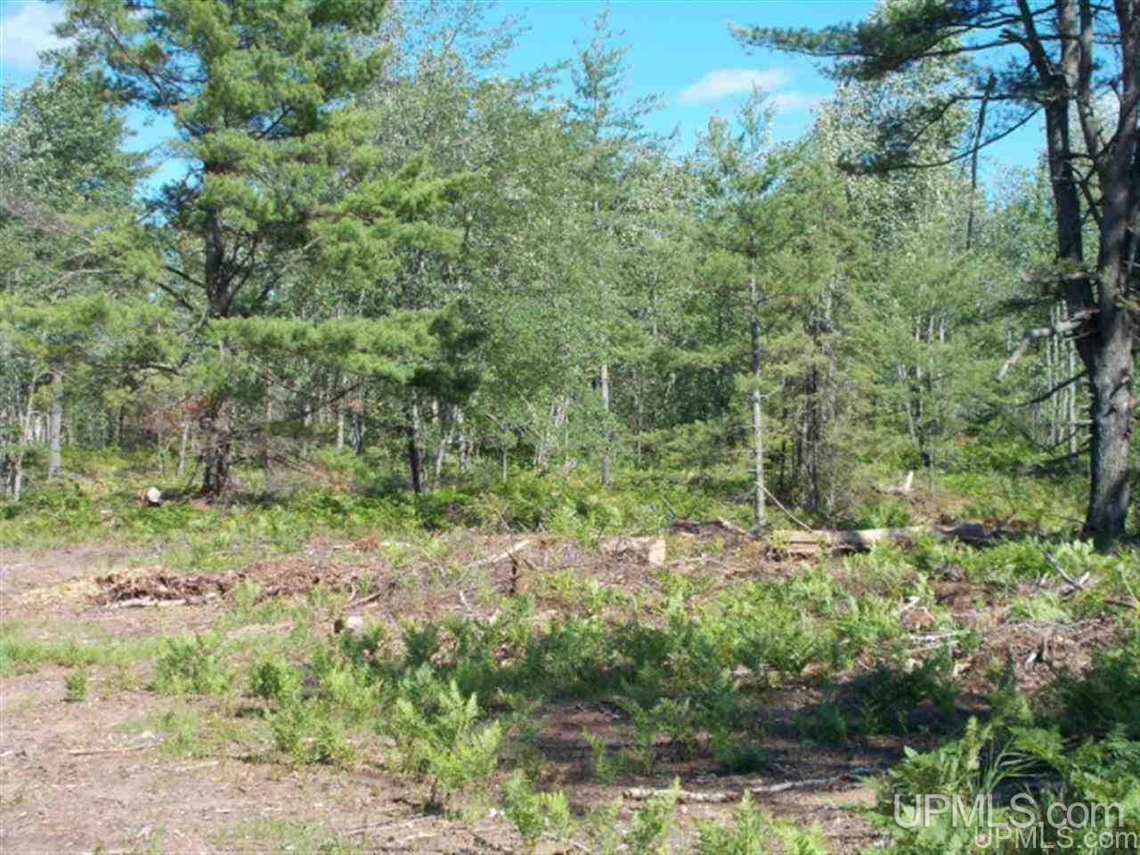 Voelker Lake Road Property Photo 18