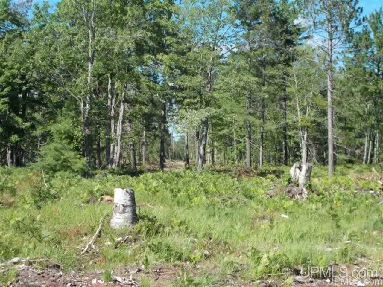 Voelker Lake Road Property Photo 19
