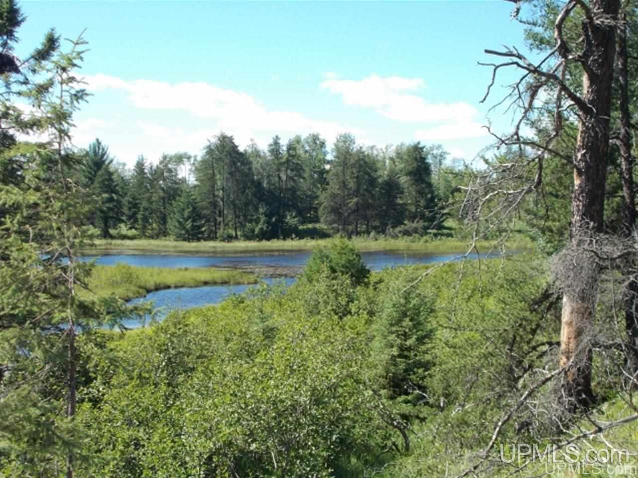 Voelker Lake Road Property Photo 20