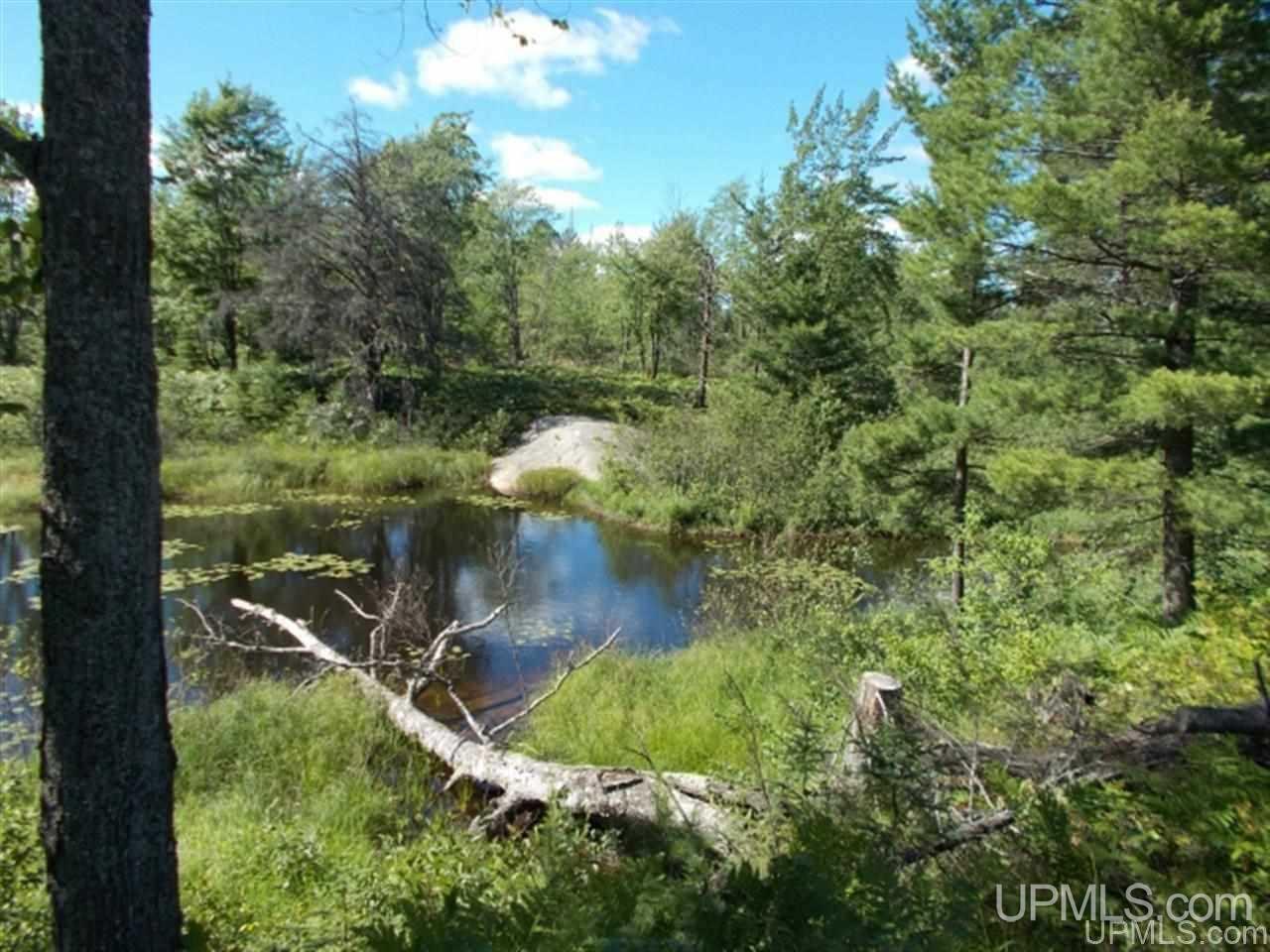 Voelker Lake Road Property Photo 21