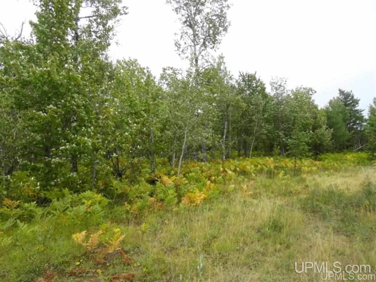 Voelker Lake Road Property Photo 23