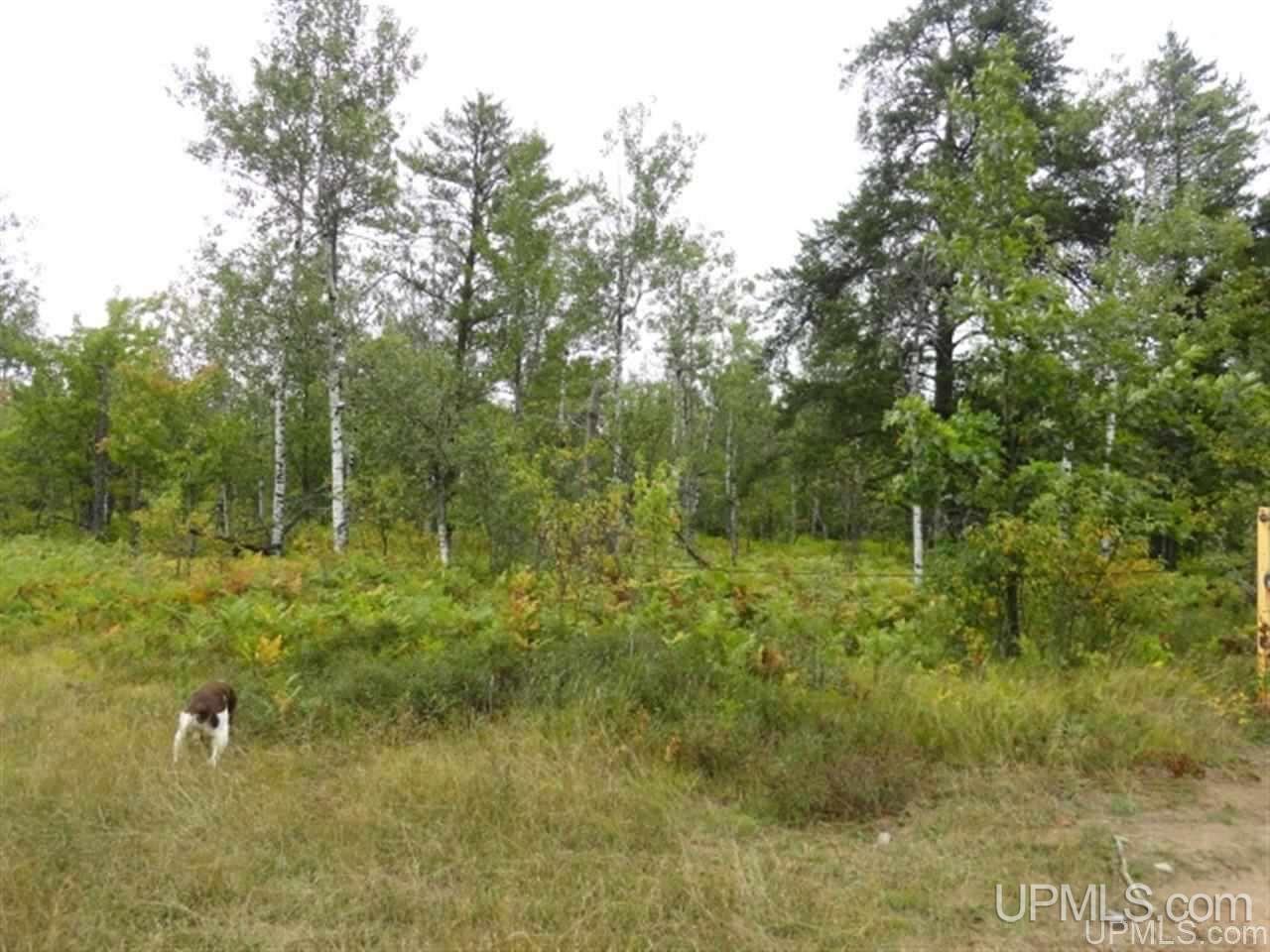 Voelker Lake Road Property Photo 26