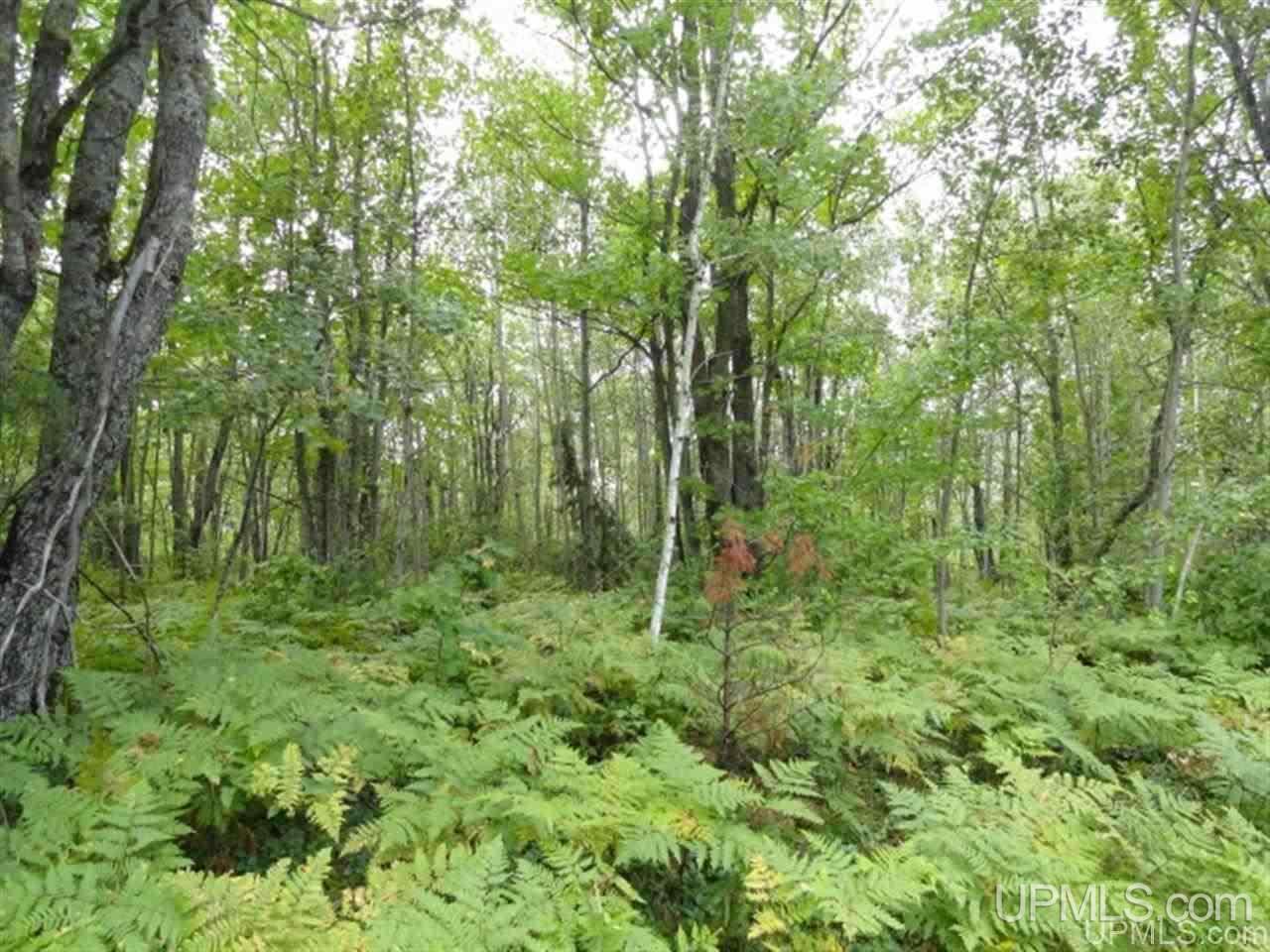 Voelker Lake Road Property Photo 27