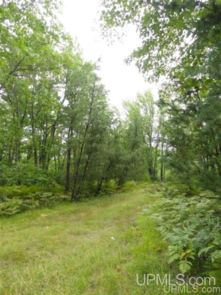 Voelker Lake Road Property Photo 28