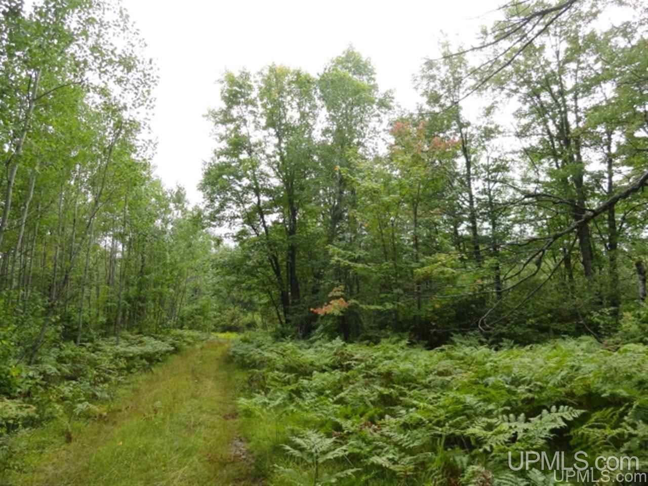 Voelker Lake Road Property Photo 29