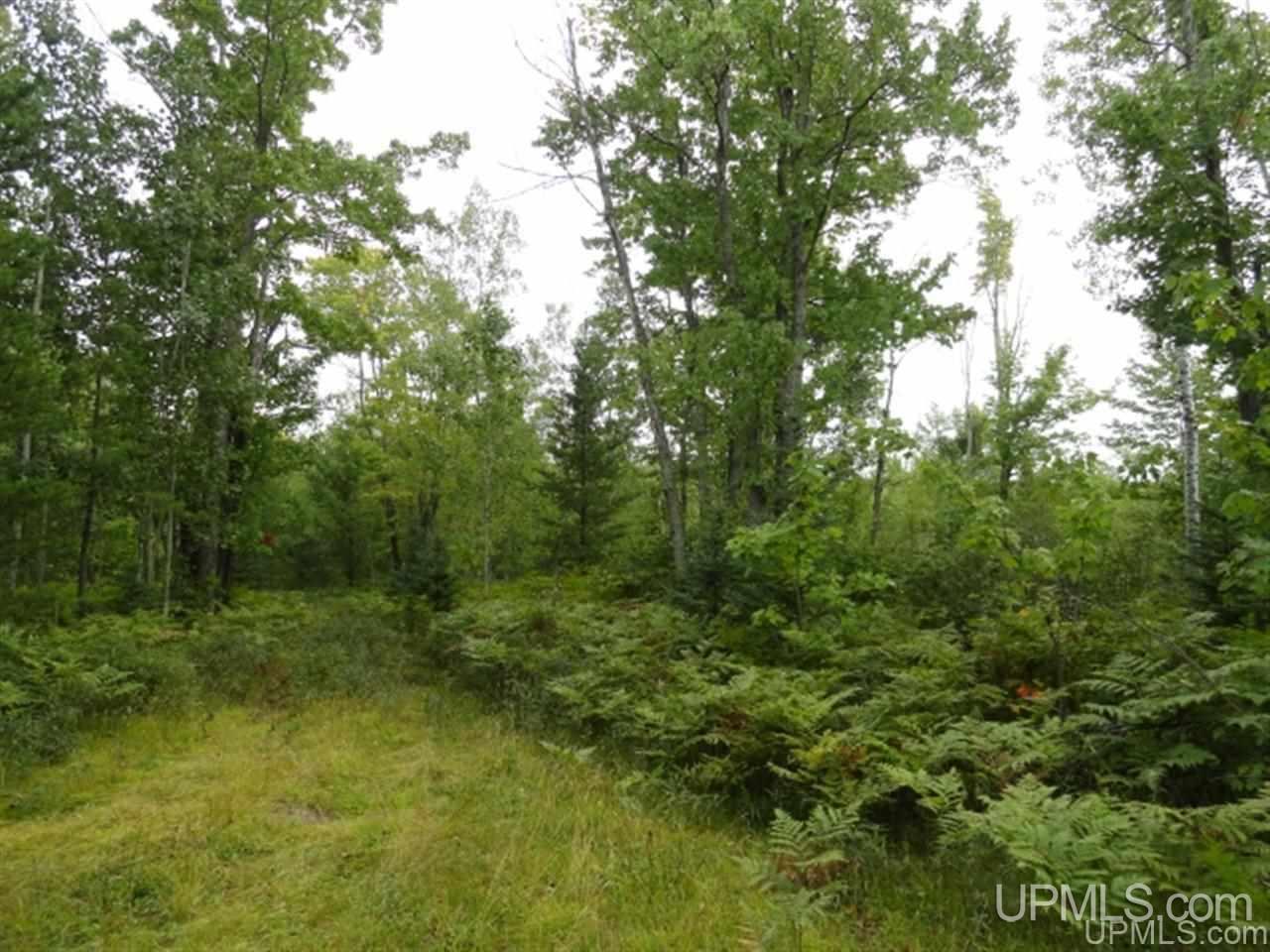 Voelker Lake Road Property Photo 30