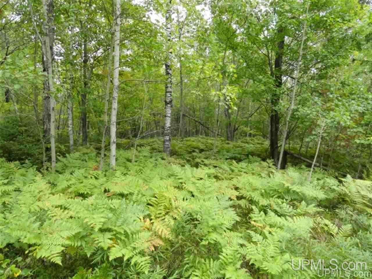 Voelker Lake Road Property Photo 31