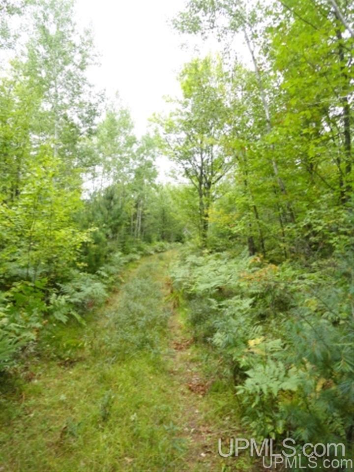 Voelker Lake Road Property Photo 32