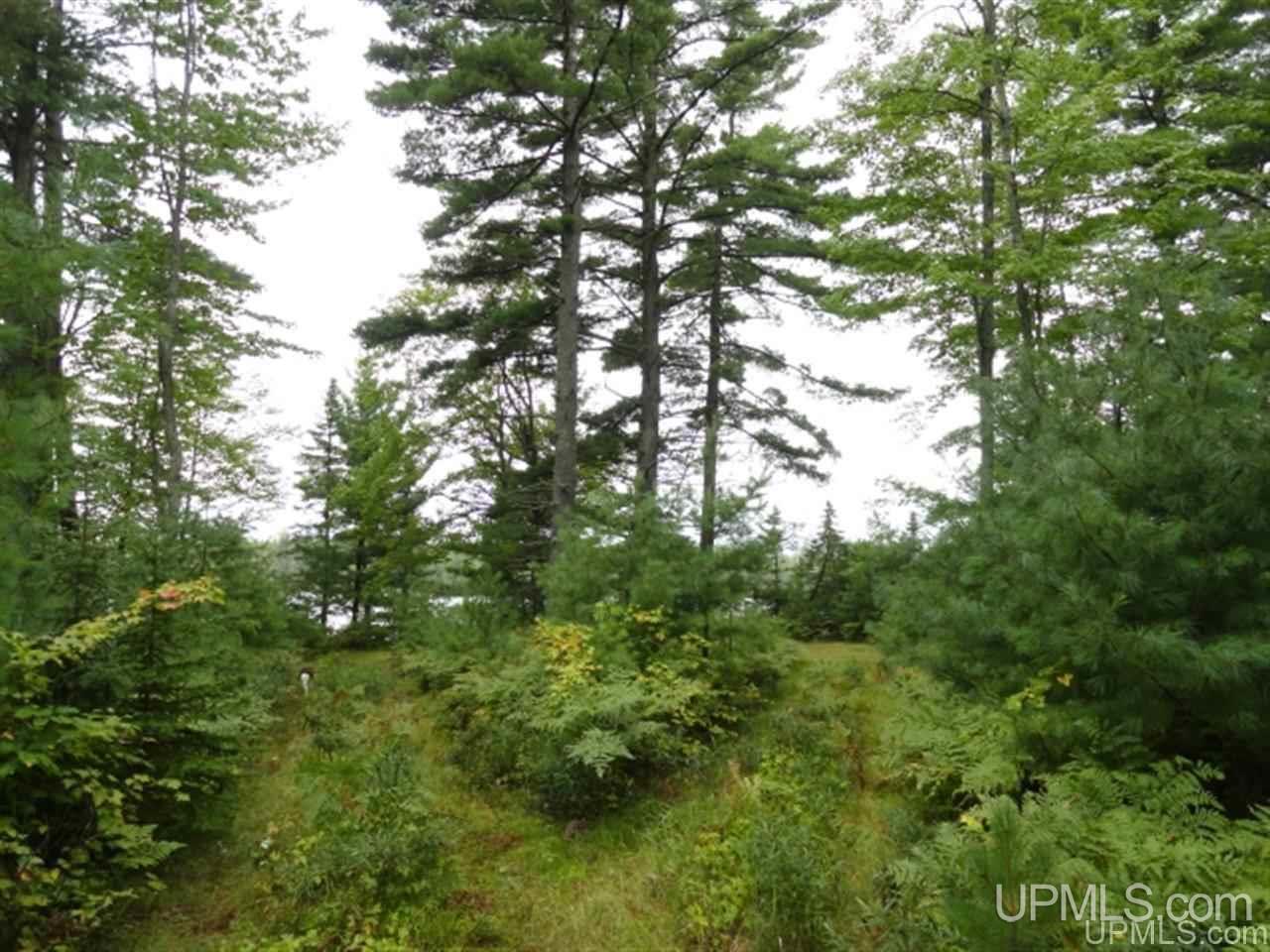 Voelker Lake Road Property Photo 33