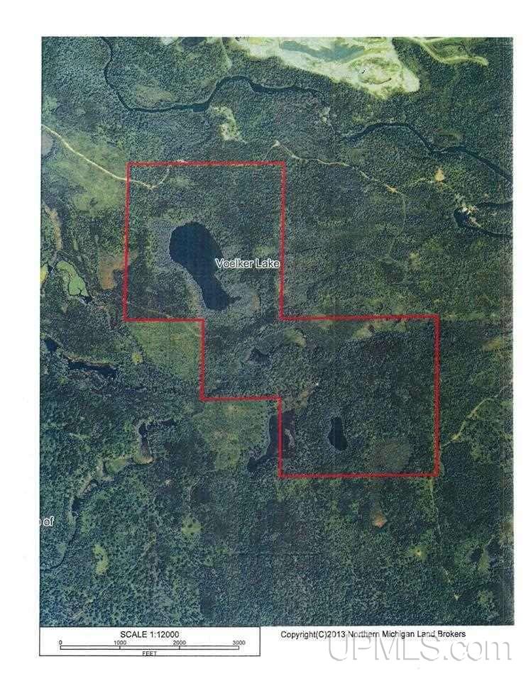 Voelker Lake Road Property Photo 34