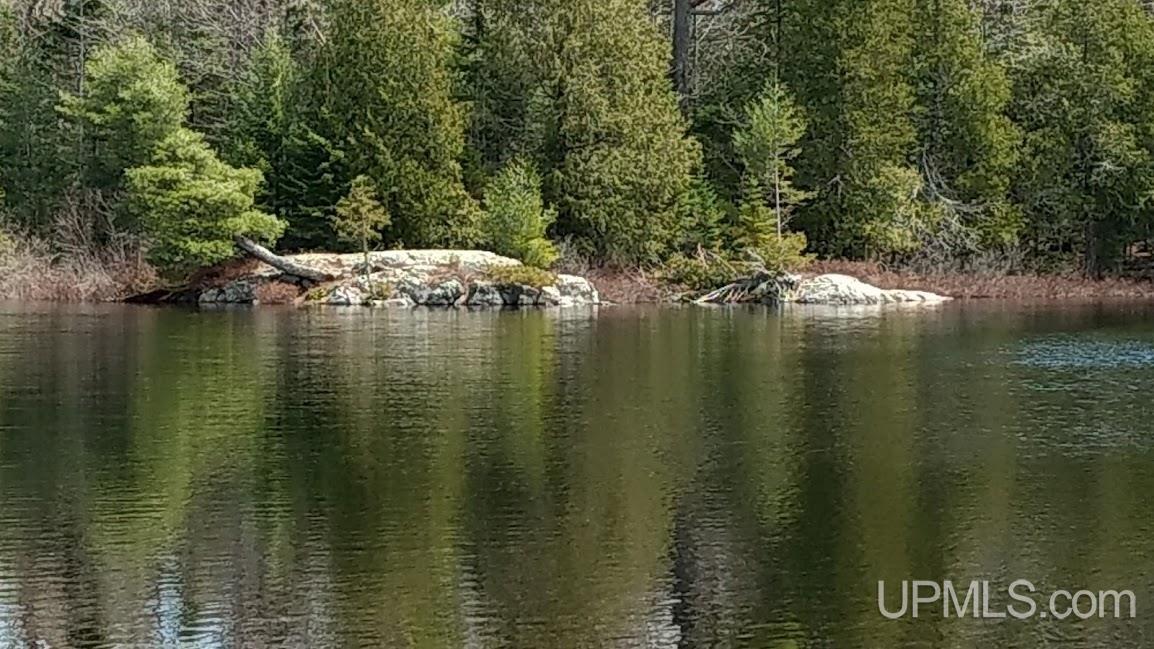 Tbd Durchman Lake Road Property Photo 1