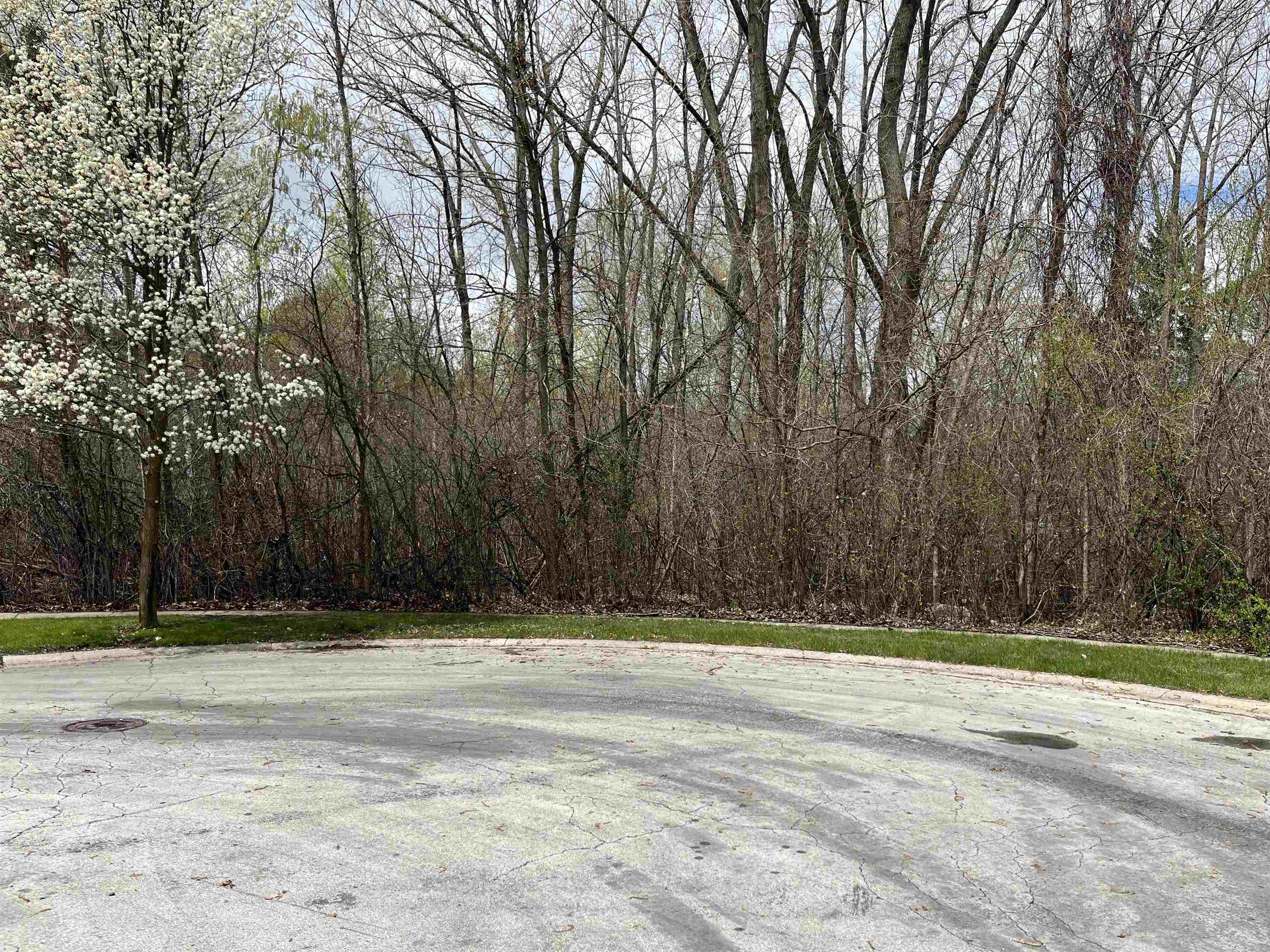 5523 Oakridge Drive Property Photo 2