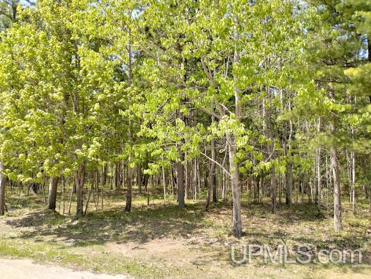 10490 Breezy R.22 Lane Property Photo 1