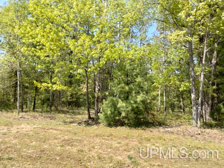 10481 Breezy R.22 Lane Property Photo 1