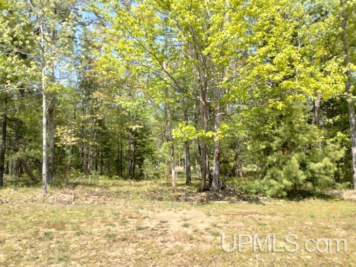 10481 Breezy R.22 Lane Property Photo 2