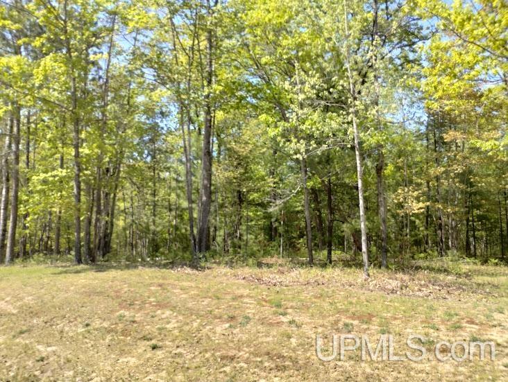 10481 Breezy R.22 Lane Property Photo 3