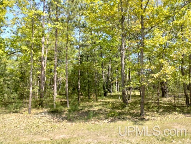 10481 Breezy R.22 Lane Property Photo 4