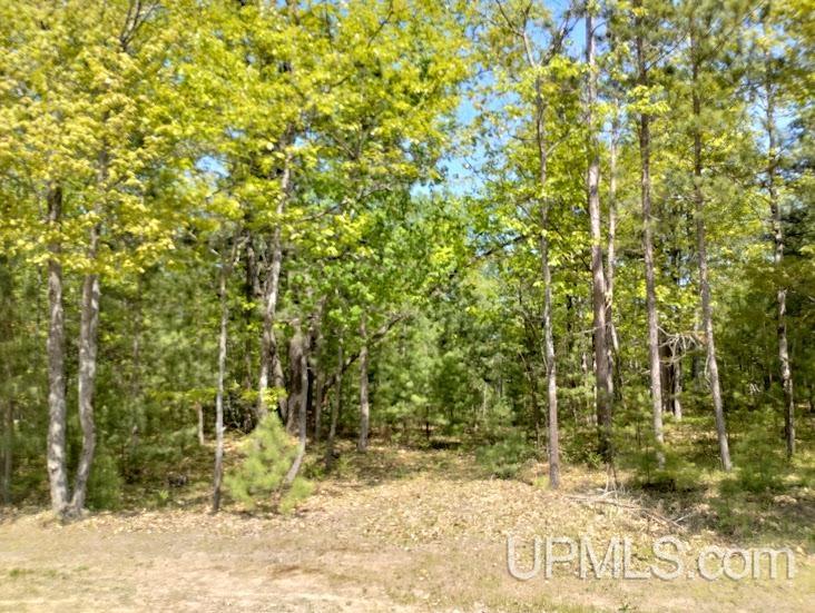 10481 Breezy R.22 Lane Property Photo 5