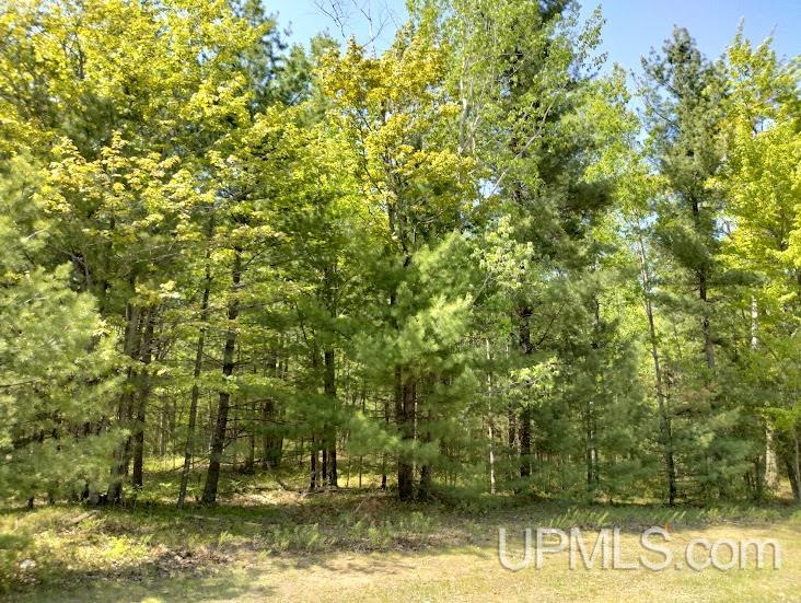 10431 Breezy R.22 Lane Property Photo 2