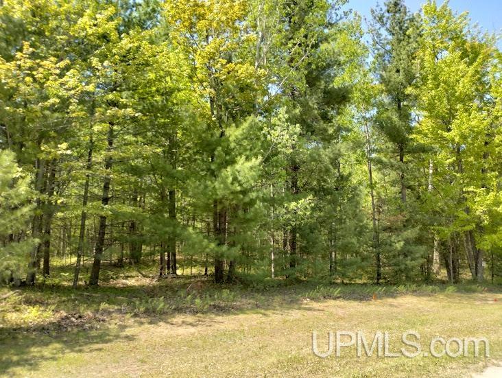 10431 Breezy R.22 Lane Property Photo 3