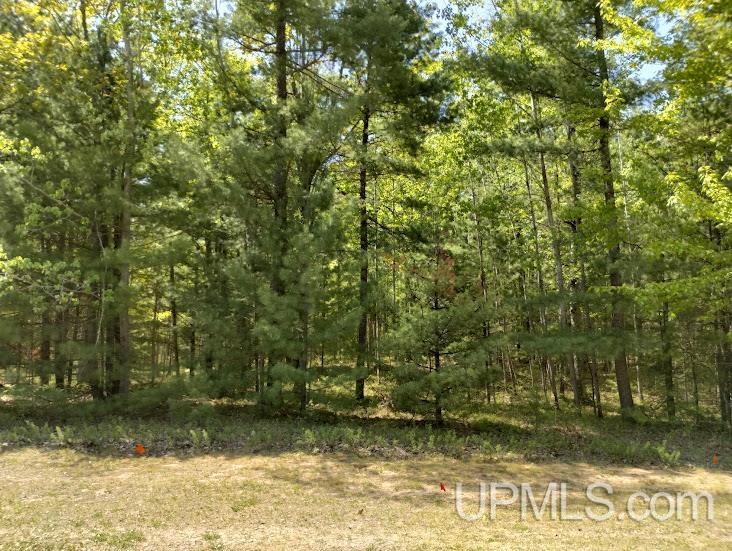 10431 Breezy R.22 Lane Property Photo 4