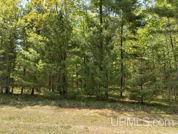 10431 Breezy R.22 Lane Property Photo 5