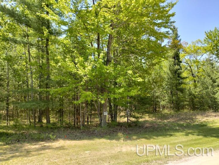 10431 Breezy R.22 Lane Property Photo 6