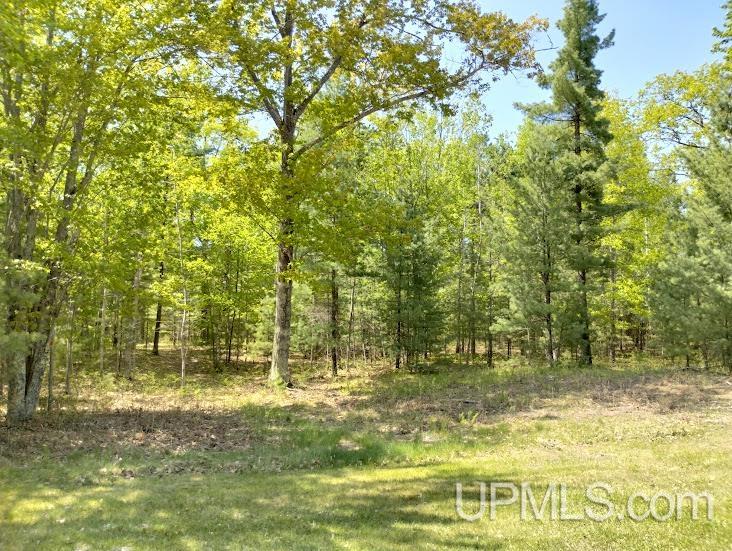 10431 Breezy R.22 Lane Property Photo 7