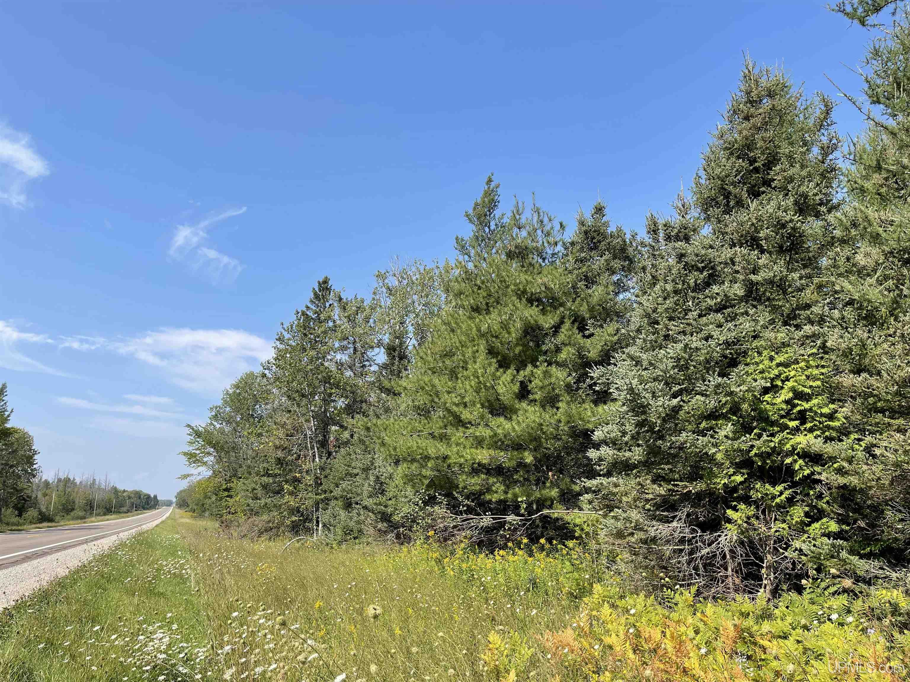 80 Acres Off M94 Property Photo 1