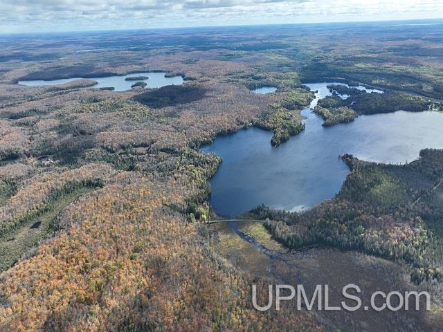 5800 Wolf Lake Road Property Photo 1