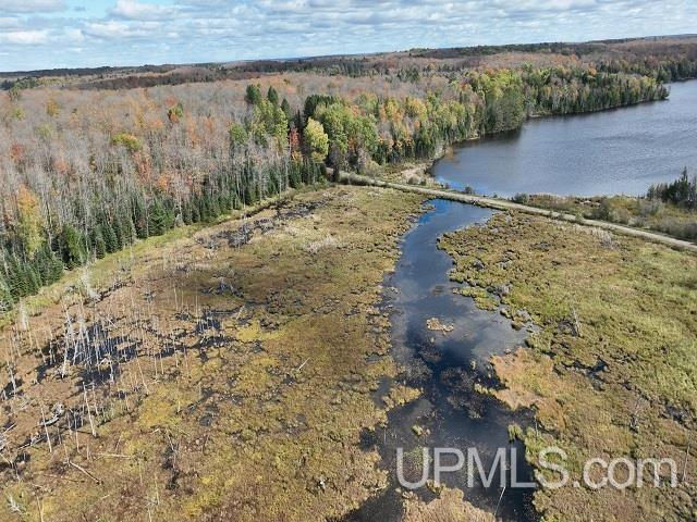 5800 Wolf Lake Road Property Photo 4