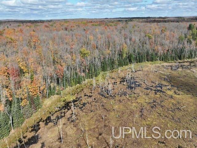 5800 Wolf Lake Road Property Photo 5