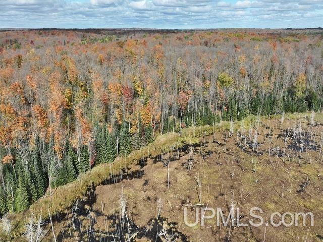 5800 Wolf Lake Road Property Photo 6