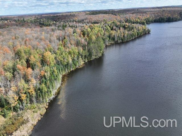5800 Wolf Lake Road Property Photo 7