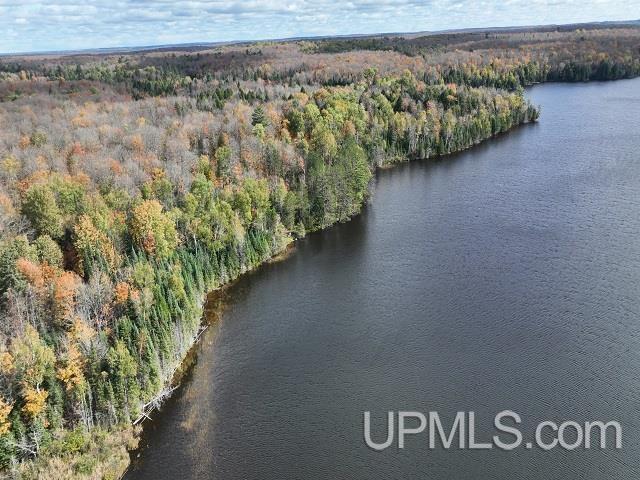 5800 Wolf Lake Road Property Photo 8