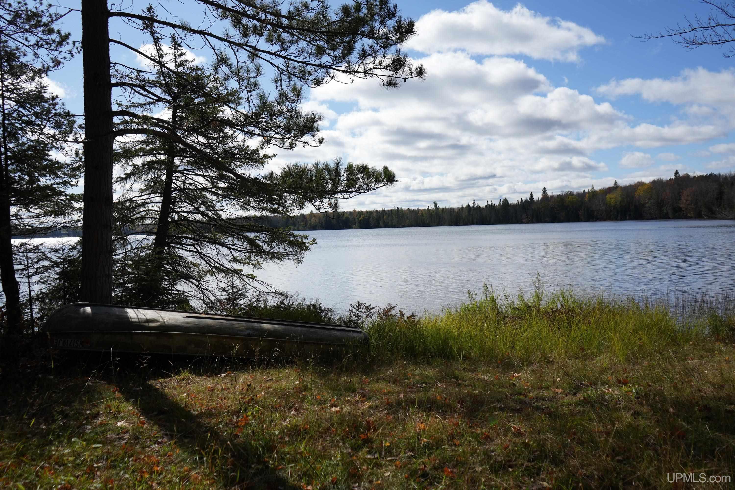 5800 Wolf Lake Road Property Photo 10