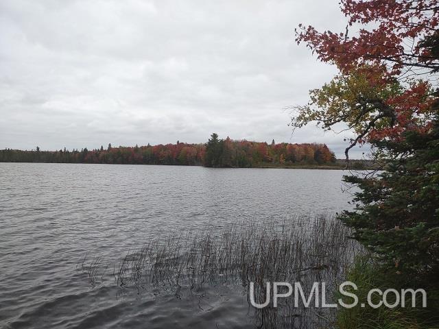 5800 Wolf Lake Road Property Photo 16
