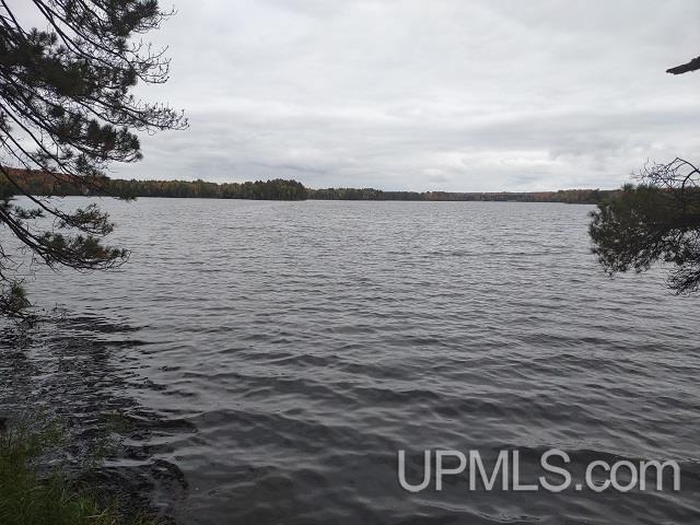 5800 Wolf Lake Road Property Photo 18