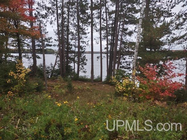 5800 Wolf Lake Road Property Photo 21