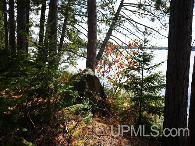5800 Wolf Lake Road Property Photo 22