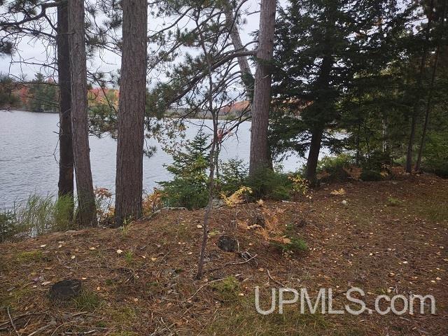 5800 Wolf Lake Road Property Photo 23