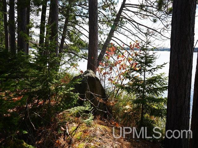 5800 Wolf Lake Road Property Photo 24
